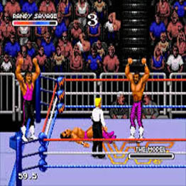 WWF Royal Rumble